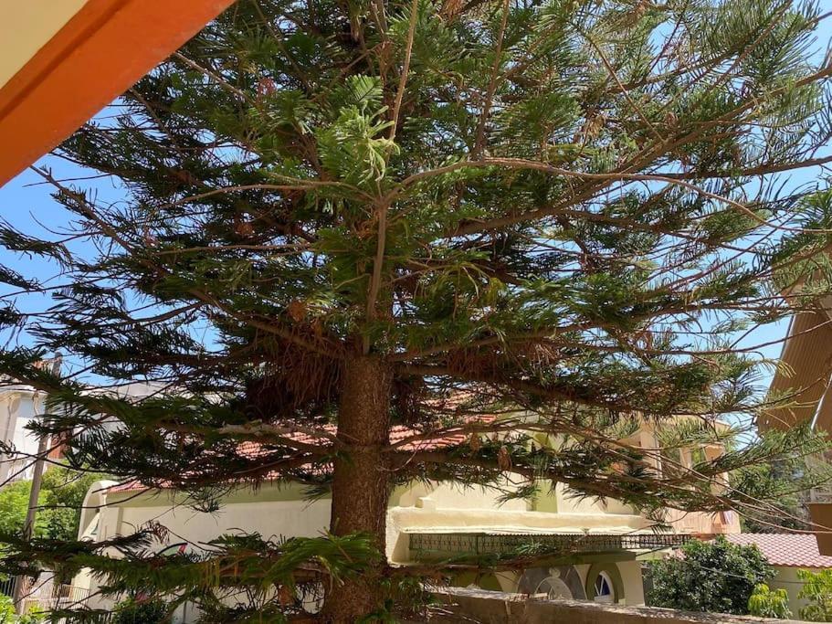 Apartment στο κέντρο της πόλης *